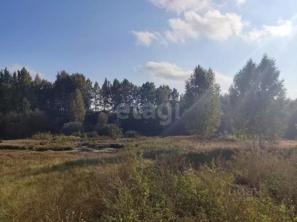 Участок в Ярославская область, Ярославский муниципальный округ, ... - Фото 1