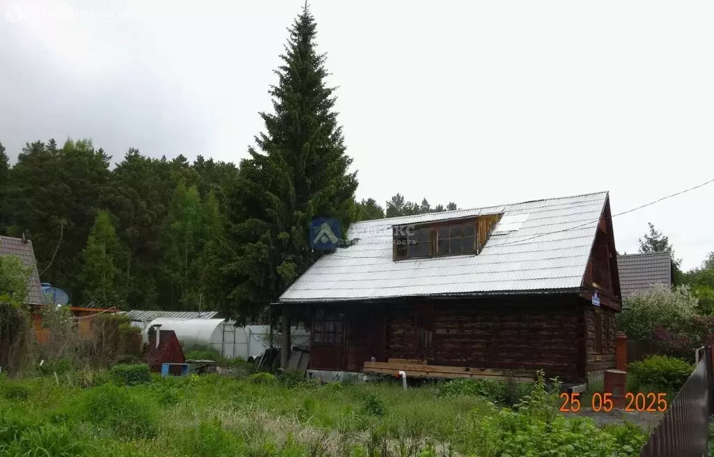 Участок в Тюменский район, СНТ Сетка, улица Лесной Посёлок (16 м) - Фото 1
