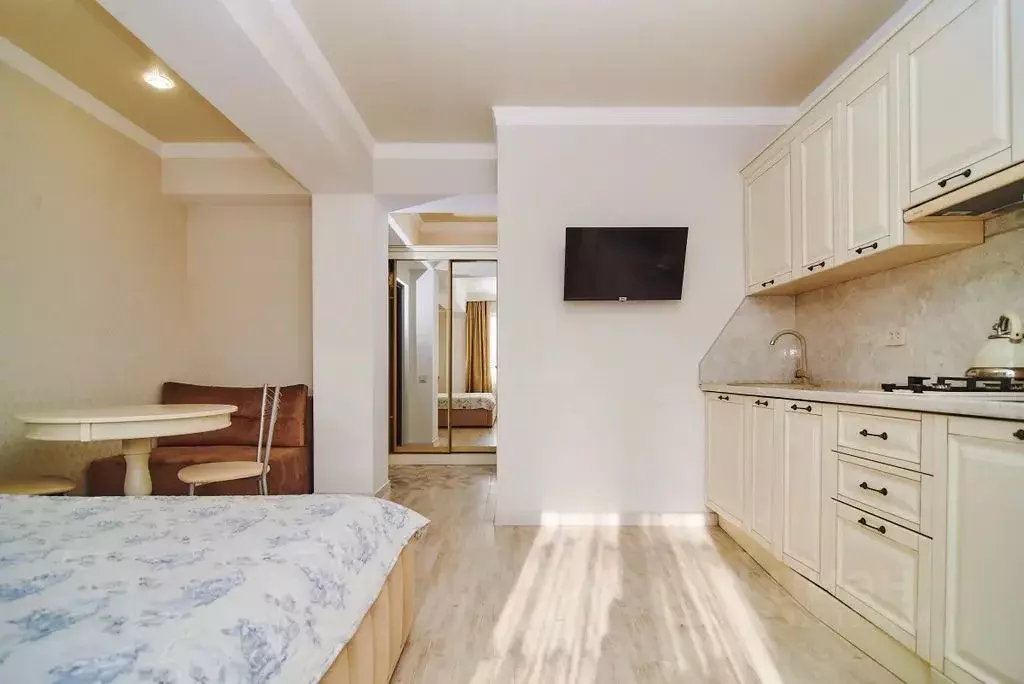 Студия Ставропольский край, Кисловодск Коллективная ул., 11 (24.0 м) - Фото 1