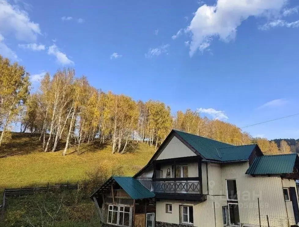 Дом в Алтай, Майминский район, с. Кызыл-Озек Березовая ул., 11 (80 м) - Фото 1