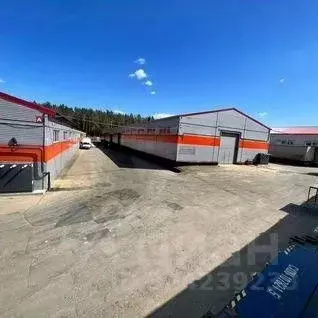 Склад в Московская область, Ленинский городской округ, д. Картино 3с6 ... - Фото 2