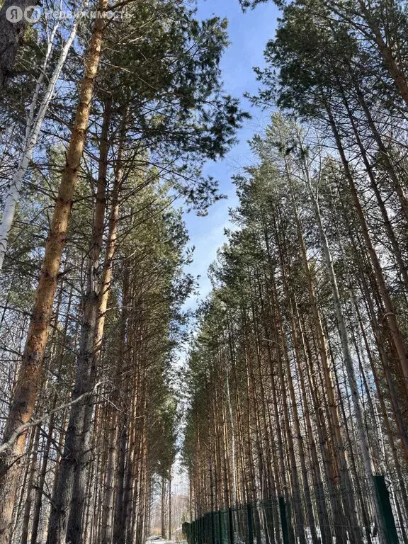 Участок в Габиевский, квартал Косуля, 116 (13.83 м) - Фото 0