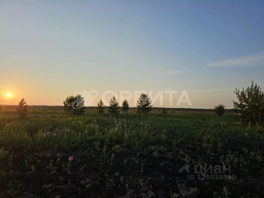 Участок в Тюменская область, Тюменский муниципальный округ, с. ... - Фото 2