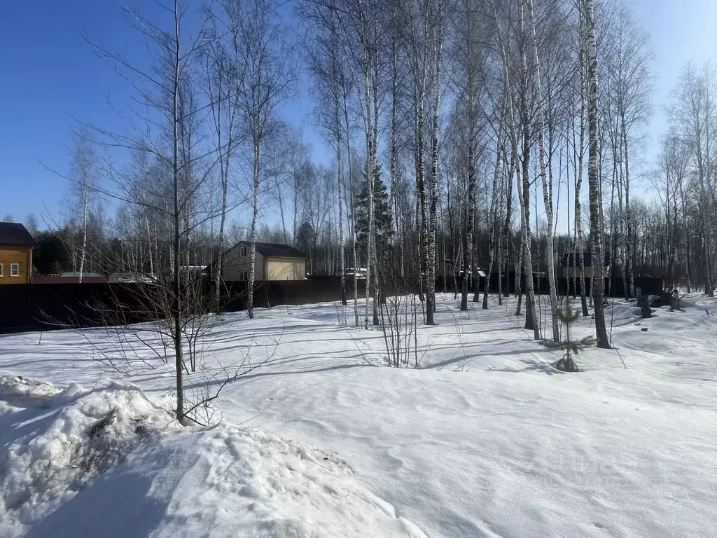 Участок в Московская область, Раменский муниципальный округ, Жилой ... - Фото 1