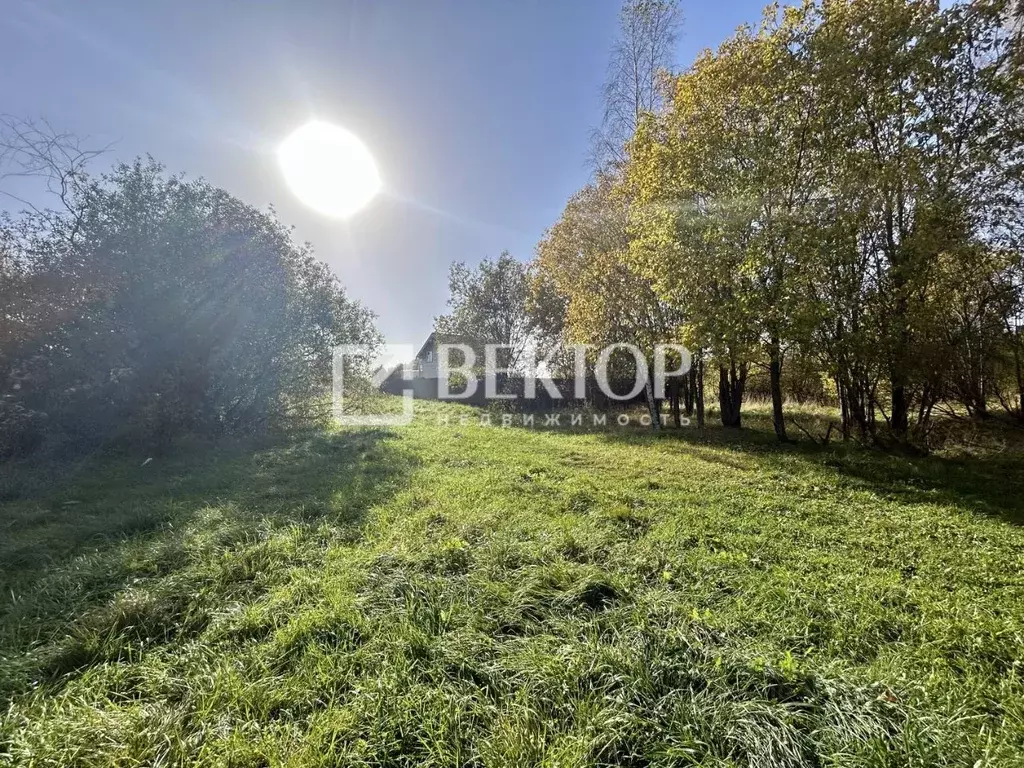 Участок в Костромская область, Костромской район, Кузьмищенское с/пос, ... - Фото 2