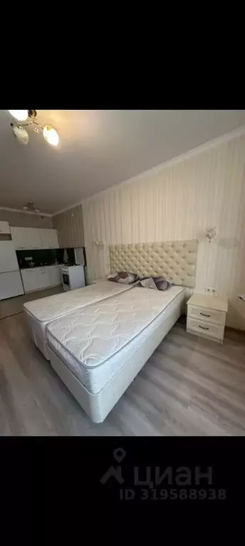 Студия Московская область, Одинцовский городской округ, с. Немчиновка ... - Фото 1
