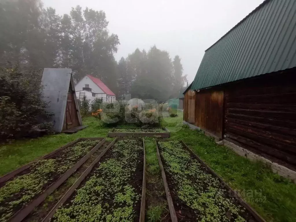 Дом в Кемеровская область, Кемеровский муниципальный округ, Рябинка ... - Фото 2