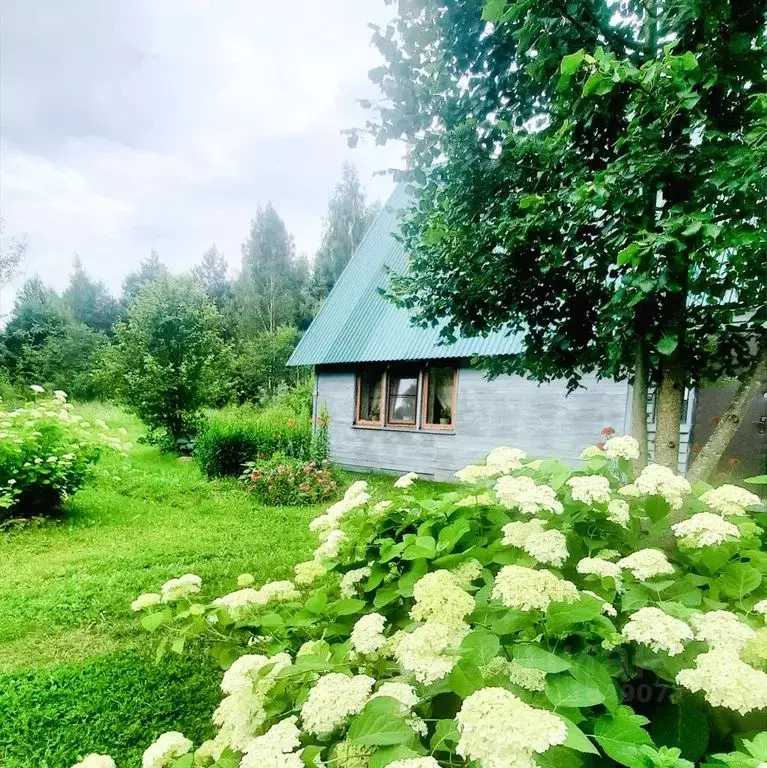 Дом в Калужская область, Дзержинский район, Сени с/пос, д. Миленки 10 ... - Фото 1