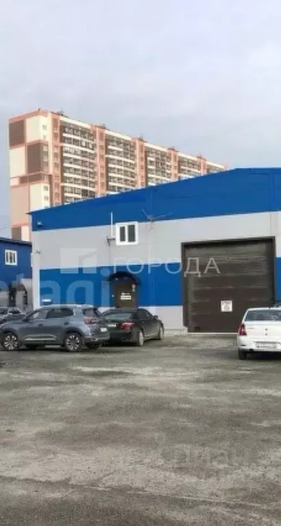 Помещение свободного назначения в Новосибирская область, Новосибирск ... - Фото 1