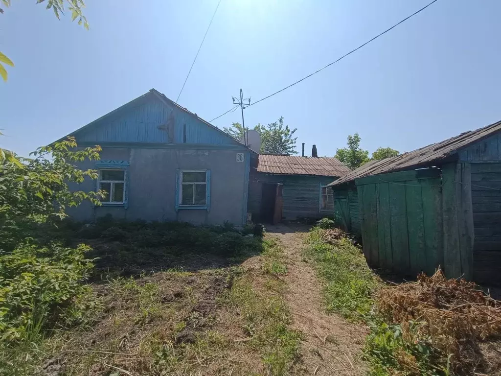 Дом в Омская область, Калачинск ул. Павла Ермака, 36 (46 м) - Фото 1