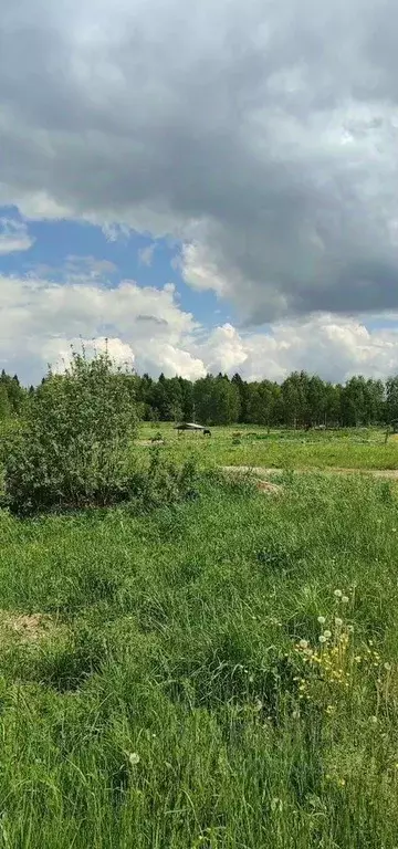 Участок в Московская область, Можайский муниципальный округ, Лесная ... - Фото 1