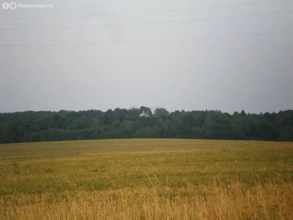 Участок в Московская область, городской округ Клин, деревня Золино (15 ... - Фото 2