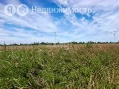 Участок в Тюмень, Центральный округ (6 м) - Фото 2