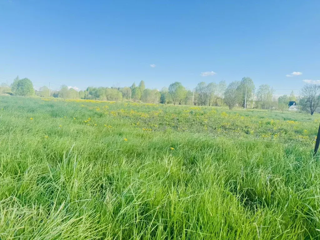 Участок в Ленинградская область, Лужский район, Заклинское с/пос, д. ... - Фото 2