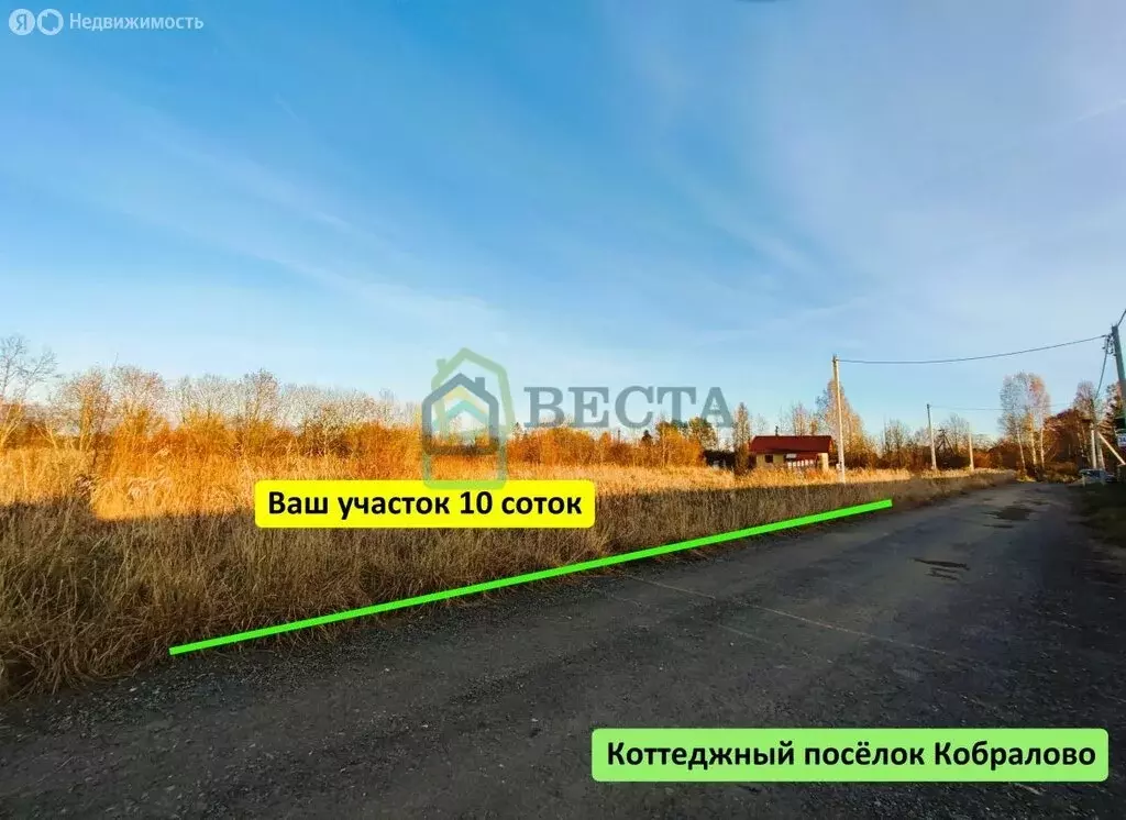 Участок в Ленинградская область, Гатчинский муниципальный округ, ... - Фото 1