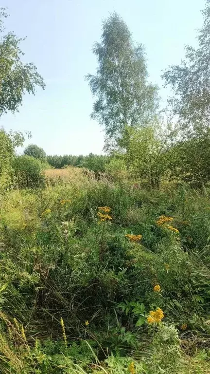 Участок в Калужская область, Малоярославецкий муниципальный округ, д. ... - Фото 2