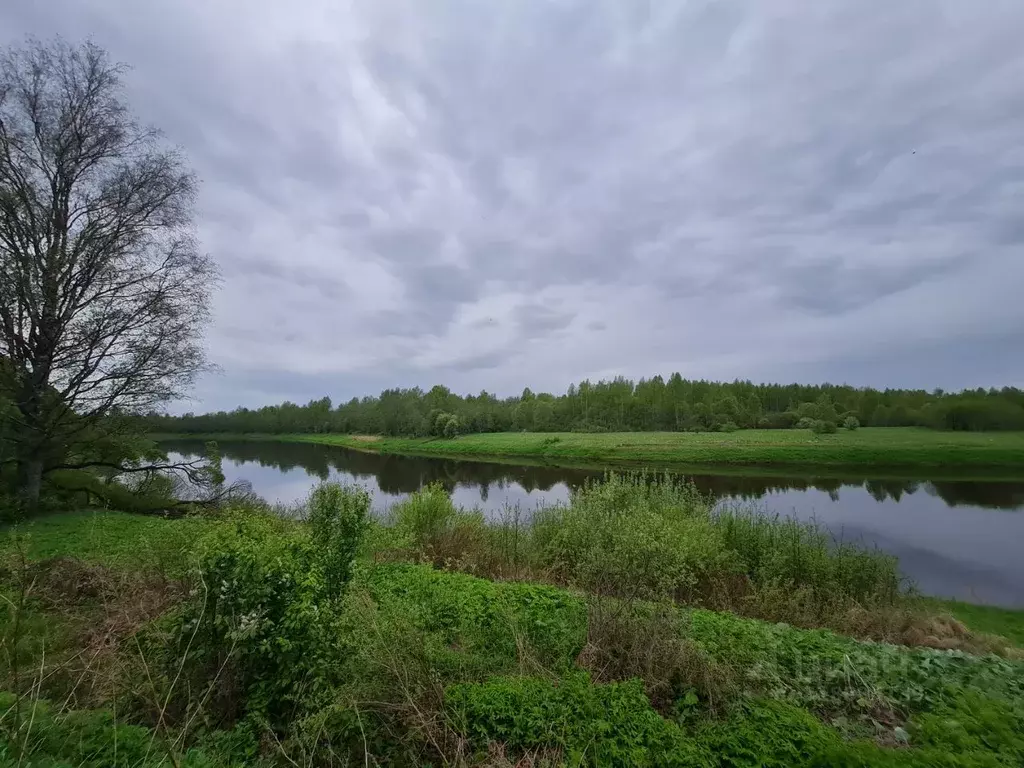 Дом в Новгородская область, Маловишерский район, Бургинское с/пос, д. ... - Фото 2