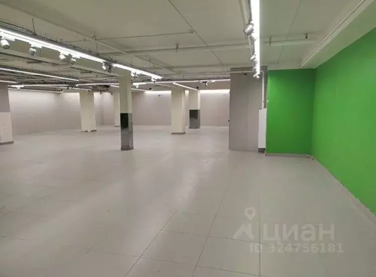 Помещение свободного назначения в Санкт-Петербург просп. Просвещения, ... - Фото 1