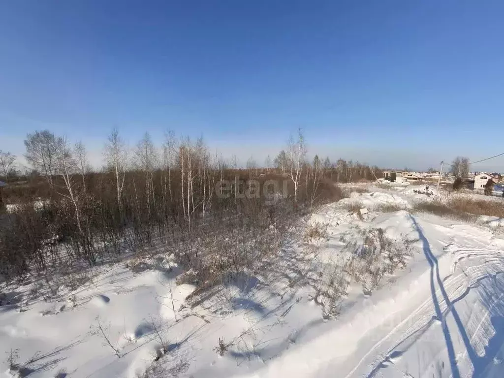 Участок в Тюменская область, Тюмень Поле Чудес садовое товарищество, ... - Фото 1