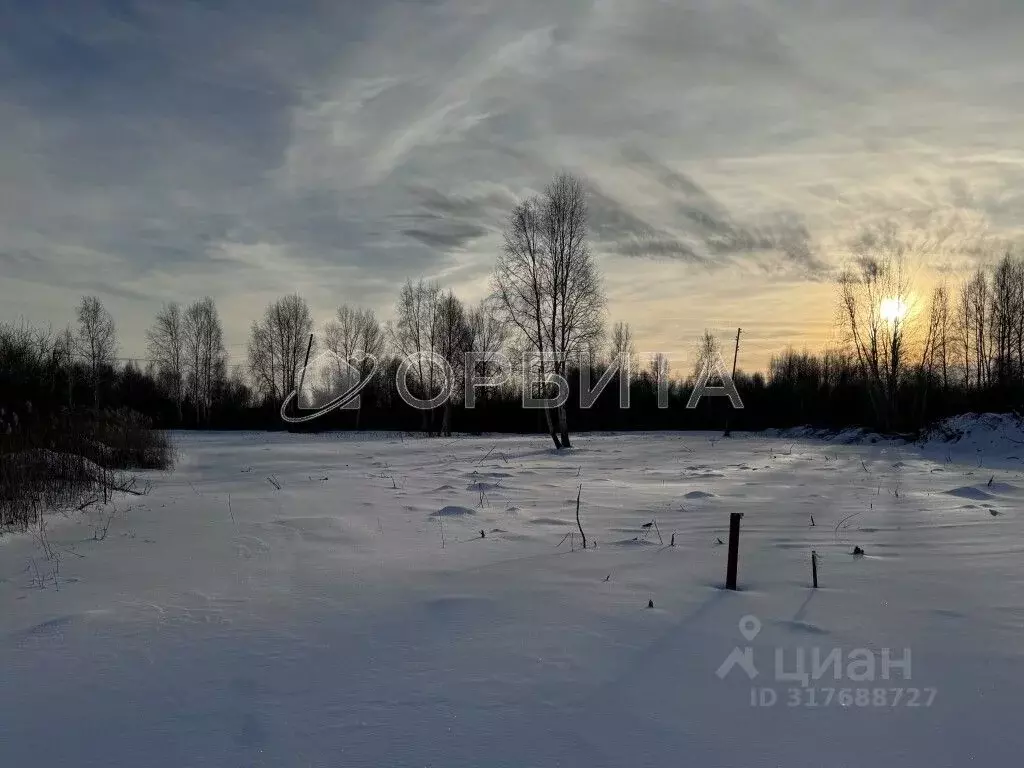 Участок в Тюменская область, Нижнетавдинский район, Виктория ТСН ул. ... - Фото 1
