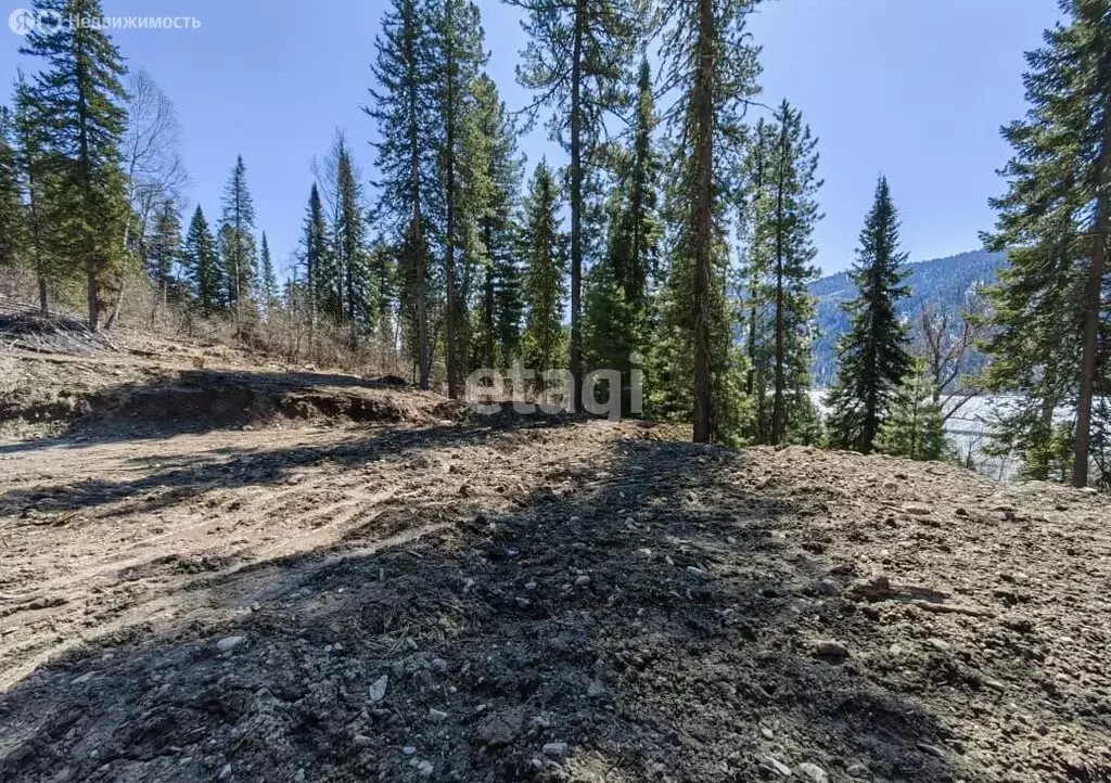 Участок в село Артыбаш, Телецкая улица (55 м) - Фото 0