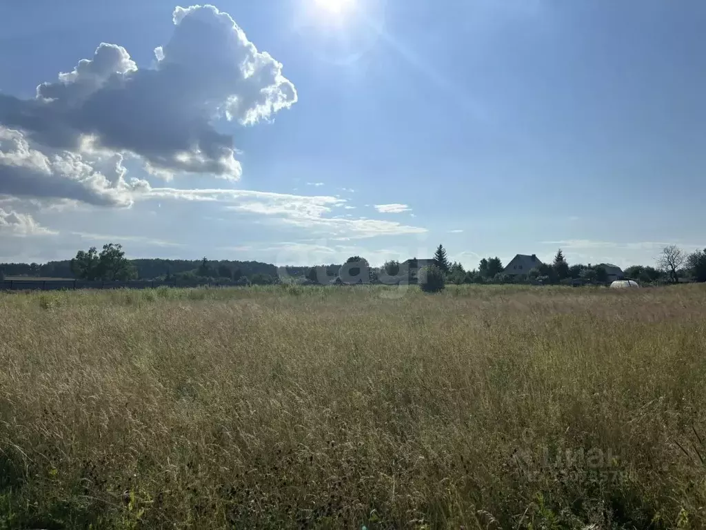 Участок в Тульская область, Веневский муниципальный округ, с. ... - Фото 1