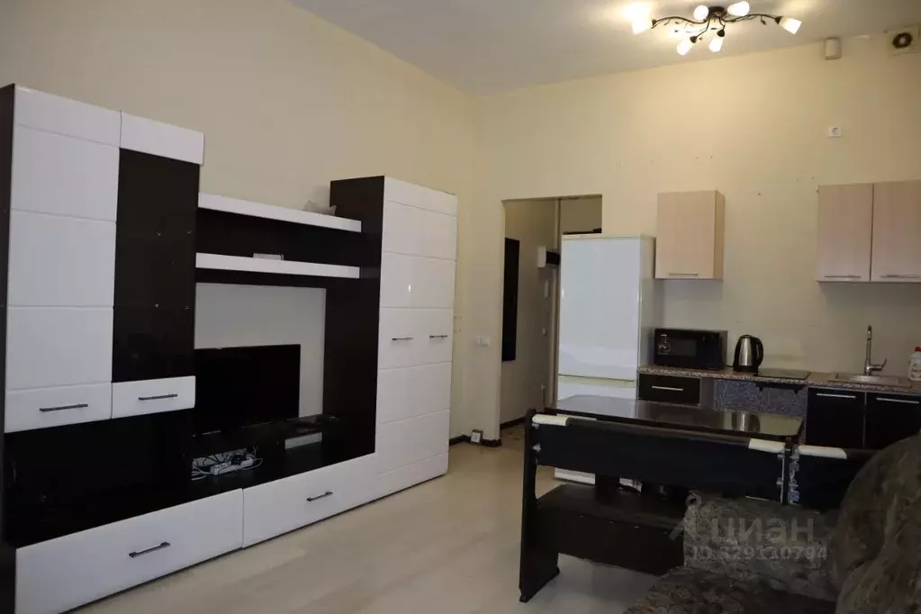 Студия Санкт-Петербург 1-й Предпортовый проезд, 14 (25.0 м) - Фото 2