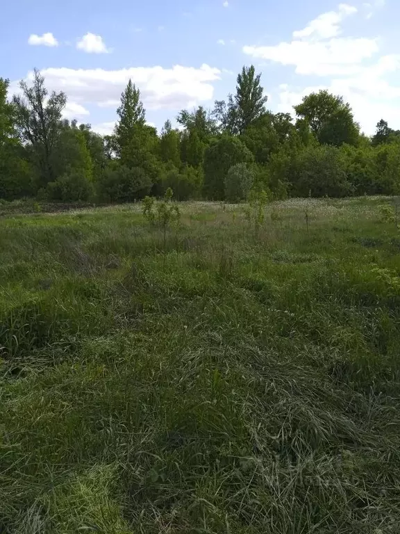 Дом в Белгородская область, Яковлевский городской округ, Томаровка пгт ... - Фото 0