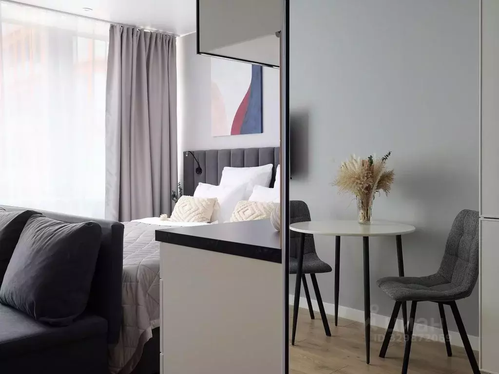 Студия Санкт-Петербург просп. Энергетиков, 2к2 (28.0 м) - Фото 2