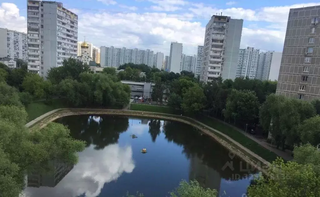 Комната Москва Мичуринский просп., 46 (15.0 м) - Фото 1