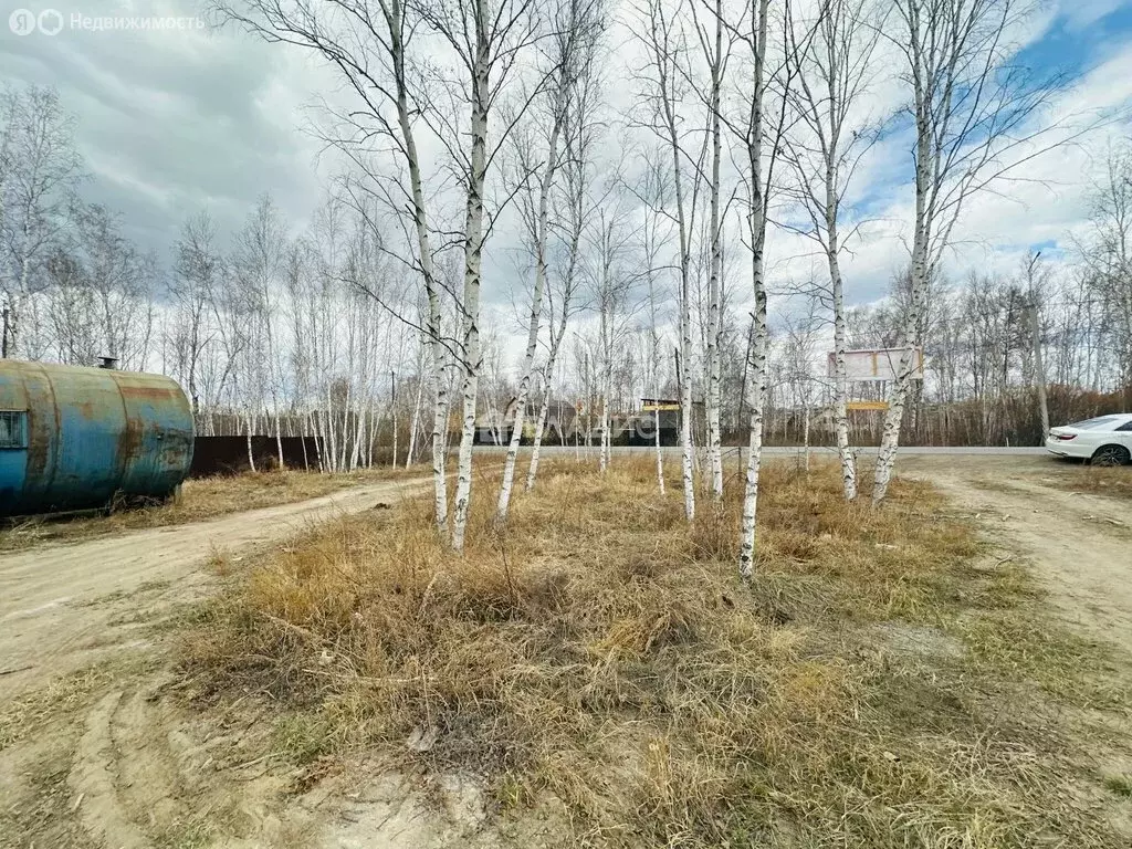 Участок в Забайкальский край, Читинский муниципальный округ, село ... - Фото 2