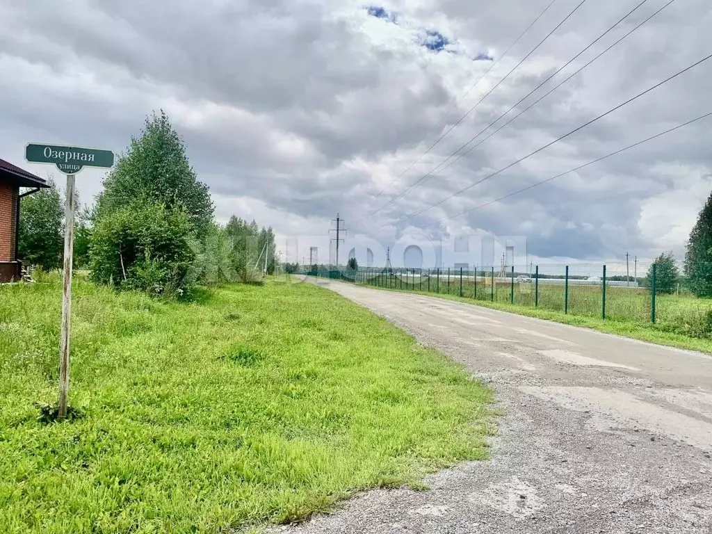 Участок в Новосибирская область, Новосибирский район, Березовский ... - Фото 2