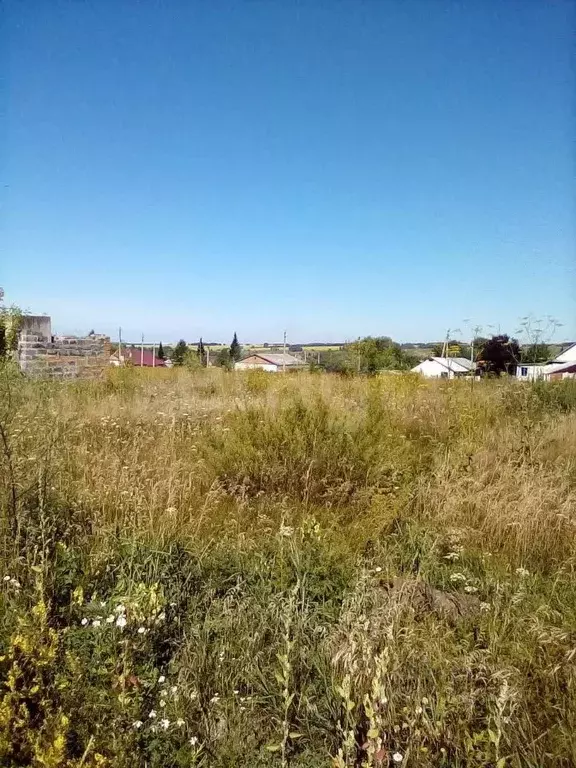 Участок в Новосибирская область, Искитимский район, Листвянский ... - Фото 1