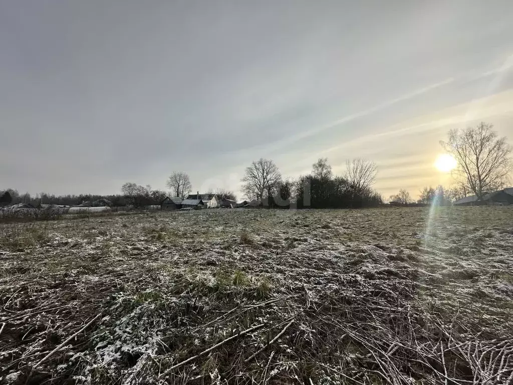 Участок в Смоленская область, Смоленский муниципальный округ, д. ... - Фото 2