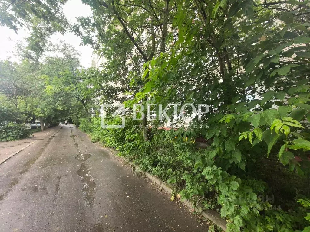 2-к кв. Ивановская область, Иваново ул. Кузнецова, 54 (50.4 м) - Фото 1