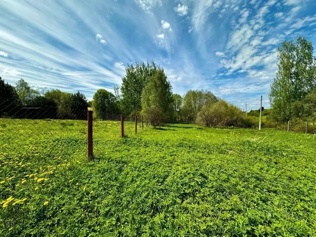Участок в Московская область, Можайский муниципальный округ, д. ... - Фото 1