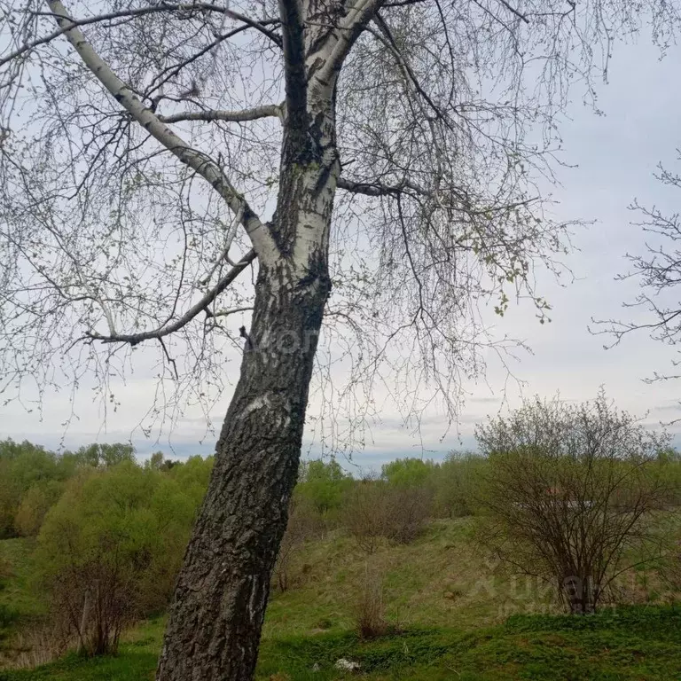 Участок в Калужская область, Калуга городской округ, д. Сивково  (19.0 ... - Фото 1