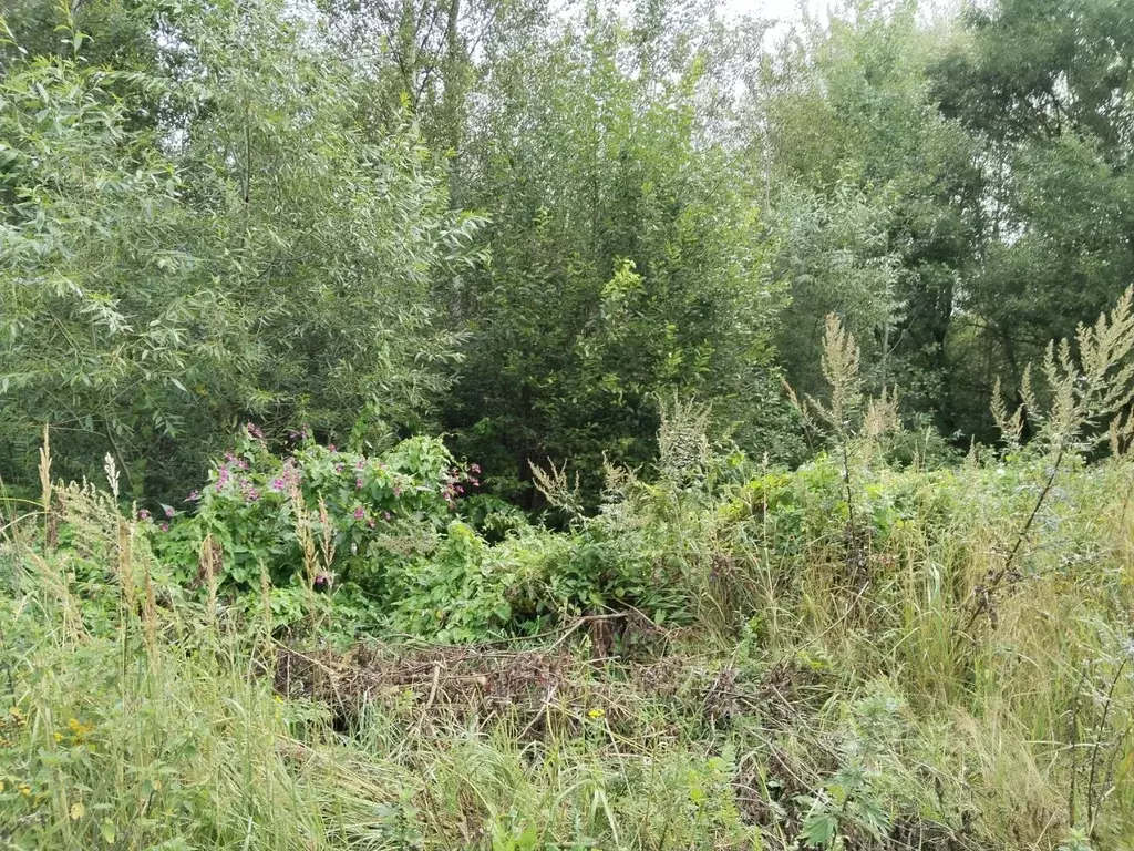 Участок в Московская область, Орехово-Зуевский городской округ, пос. ... - Фото 1