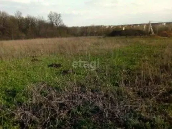 Участок в Белгородская область, Белгородский район, с. Стрелецкое ул. ... - Фото 1