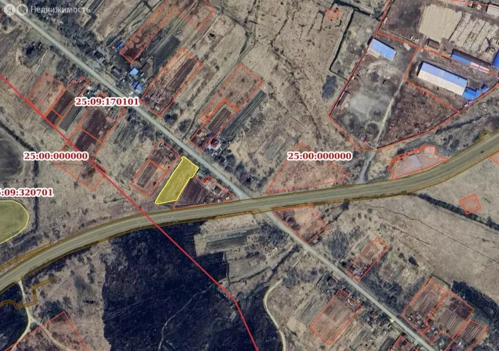 Участок в Приморский край, Михайловский муниципальный округ, село ... - Фото 1