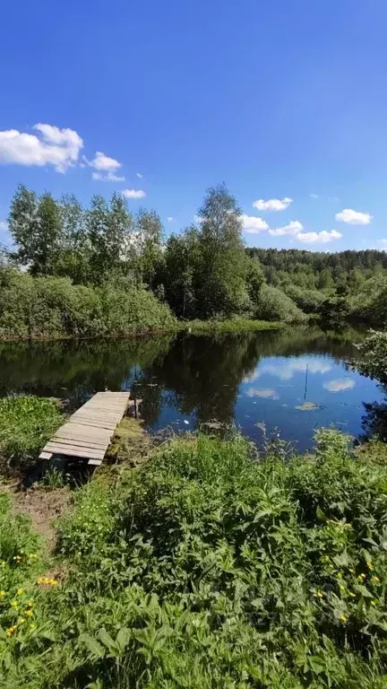 Дом в Томская область, Томск Нива садовое товарищество,  (36 м) - Фото 1
