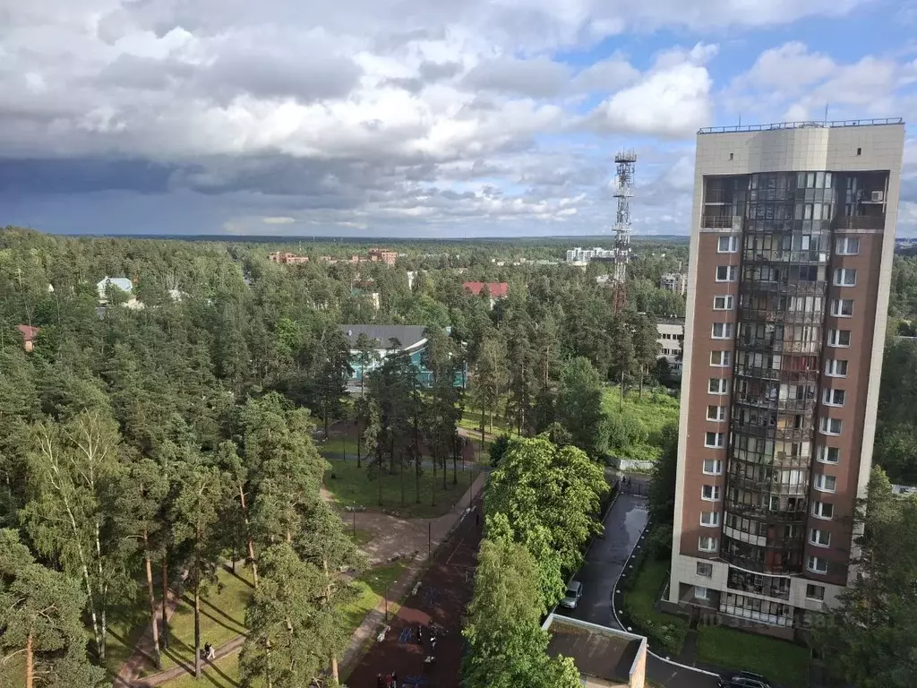 1-к кв. Ленинградская область, Всеволожск Колтушское ш., 96 (47.0 м) - Фото 2