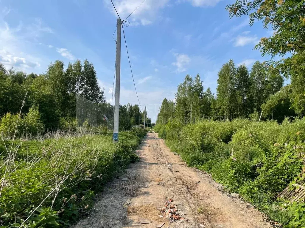 Участок в Тюменская область, Нижнетавдинский район, Моторостроитель ... - Фото 1