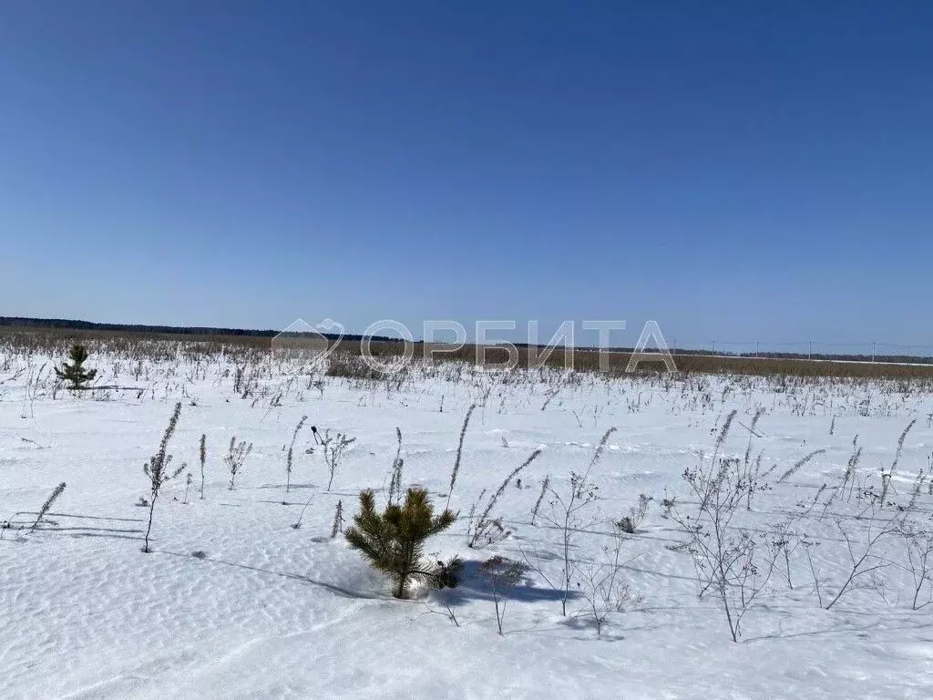 Участок в Тюменская область, Тюменский район, д. Елань 14 (7.0 сот.) - Фото 0