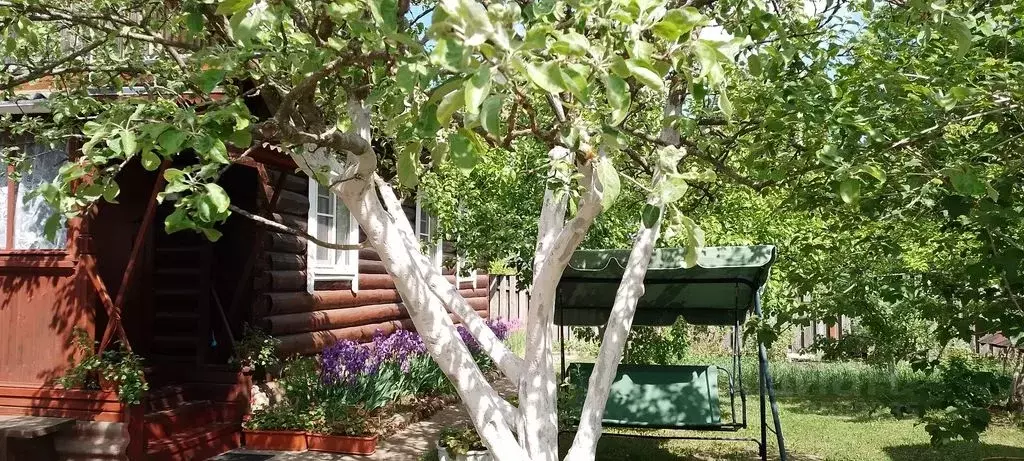 Дом в Псковская область, Невельский муниципальный округ, д. Опухлики  ... - Фото 2