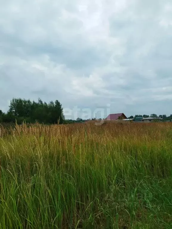 Участок в Марий Эл, Йошкар-Ола городской округ, д. Шоя-Кузнецово ул. ... - Фото 1