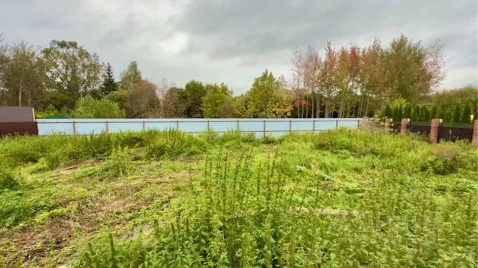 Участок в Московская область, Одинцовский городской округ, д. ... - Фото 2