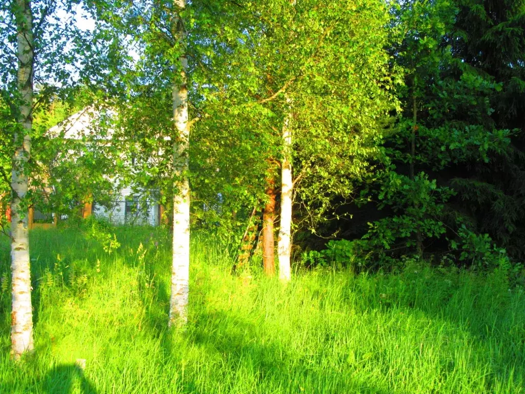 Участок в Ленинградская область, Кировское городское поселение, ... - Фото 0