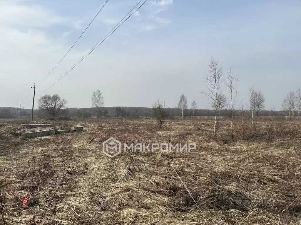 Участок в Брянская область, Брянский район, Отрадненское с/пос, с. ... - Фото 2