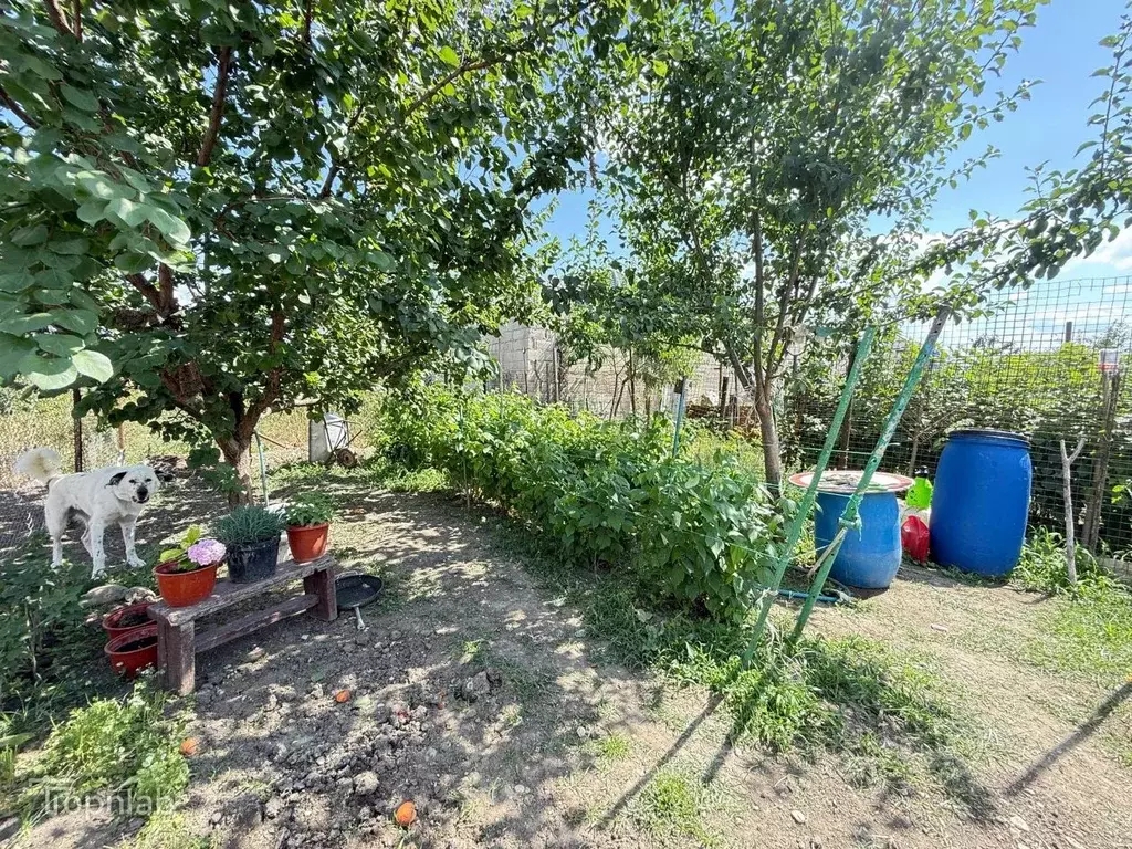 Участок в Кабардино-Балкария, Чегемский район, с. Нартан Адыгейская ... - Фото 2